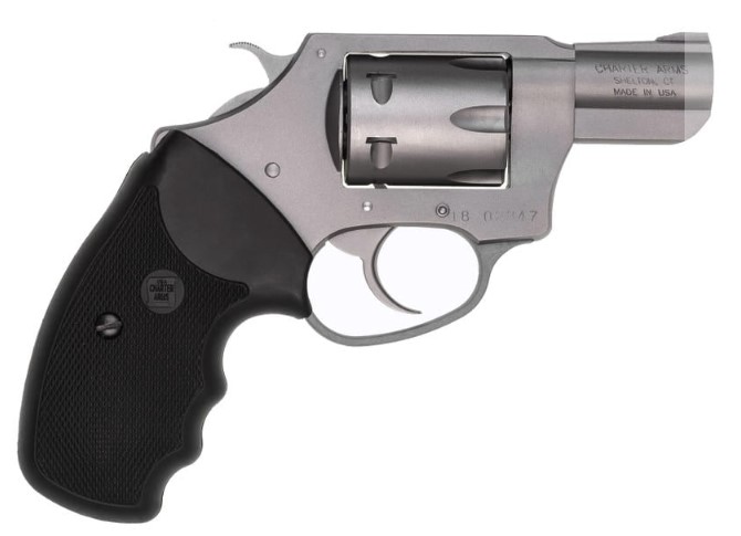 CHARTER ARMS PATHFINDER .22 MAG. ALUMINUM 8 SHOT 2IN FIXED STANDARD ANODIZED STAINLESS STEEL 72324 - Taurus Savings